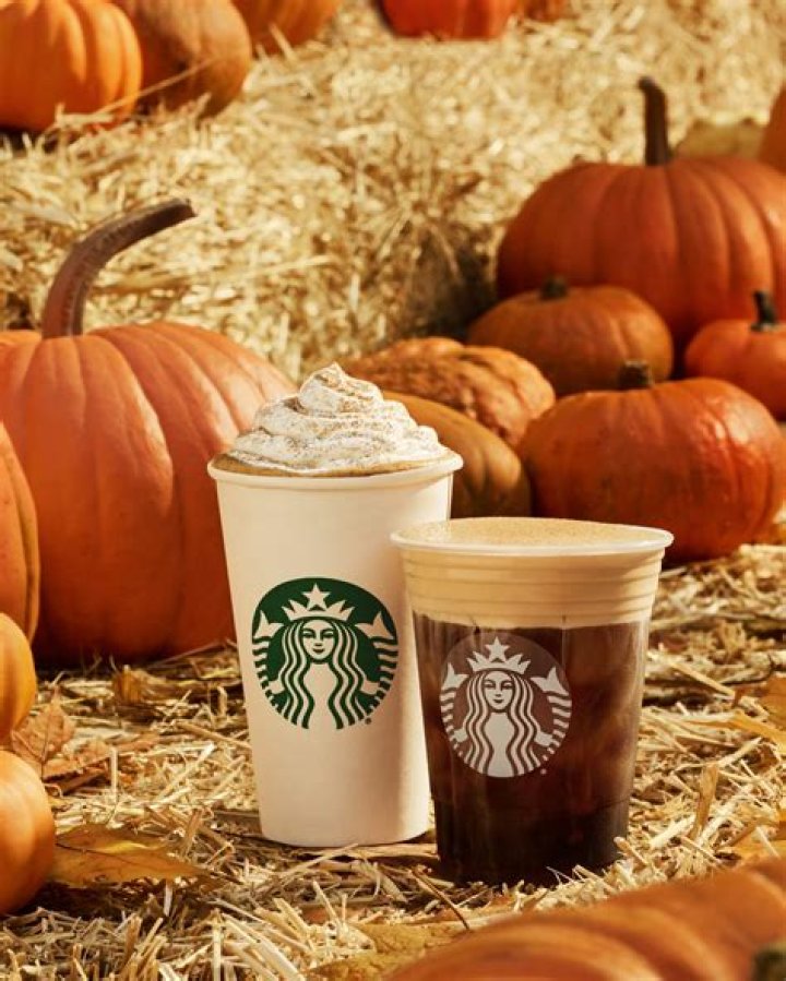 PSL, Pumpkin Cream Cold Brew, & More